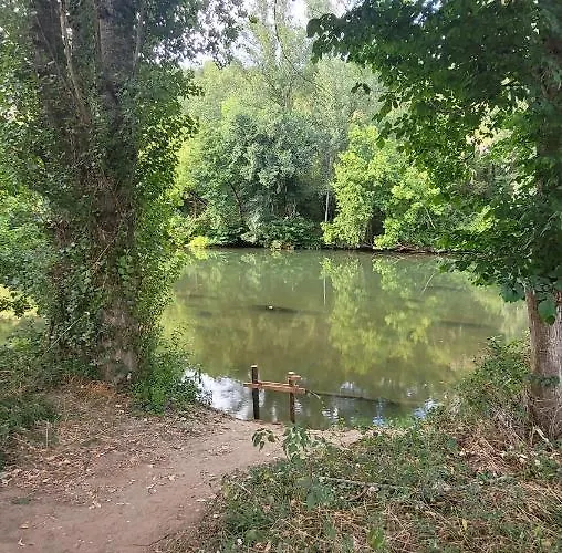 D'hote, Au Pays De Cocagne ! Oda ve Kahvaltı Saint-Lieux-les-Lavaur