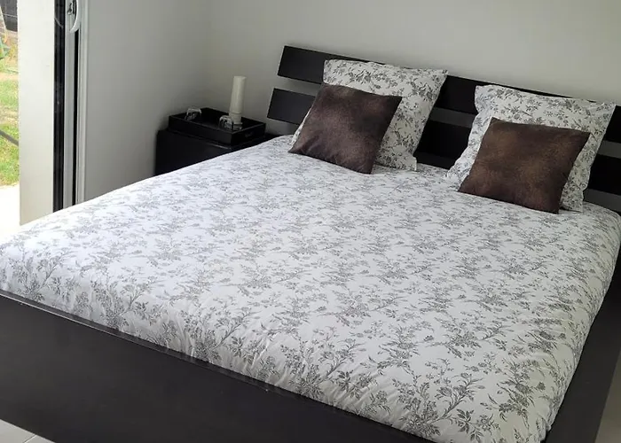 Oda ve Kahvaltı D'hote, Au Pays De Cocagne ! Saint-Lieux-les-Lavaur