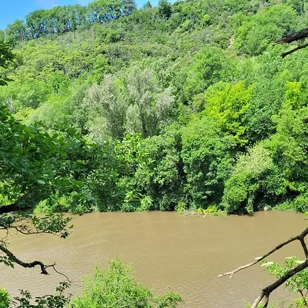 D'hote, Au Pays De Cocagne !