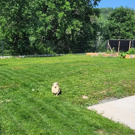 D'hote, Au Pays De Cocagne !