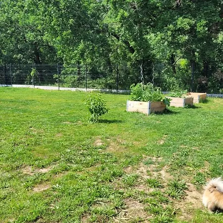 D'hote, Au Pays De Cocagne !