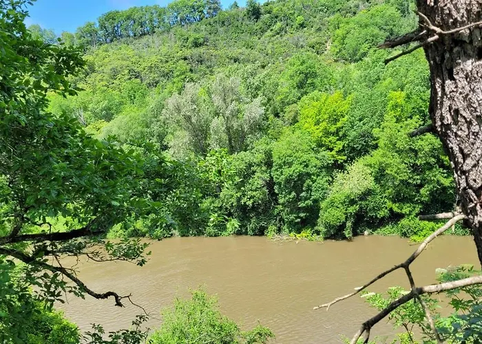 D'hôte, Au Pays De Cocagne !